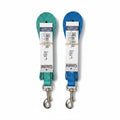 Coastal 4 Foot Nylon Dog Leash Teal and Blue