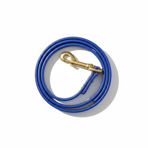 Blue Biothane Dog Leash with Brass Bolt Snap coiled